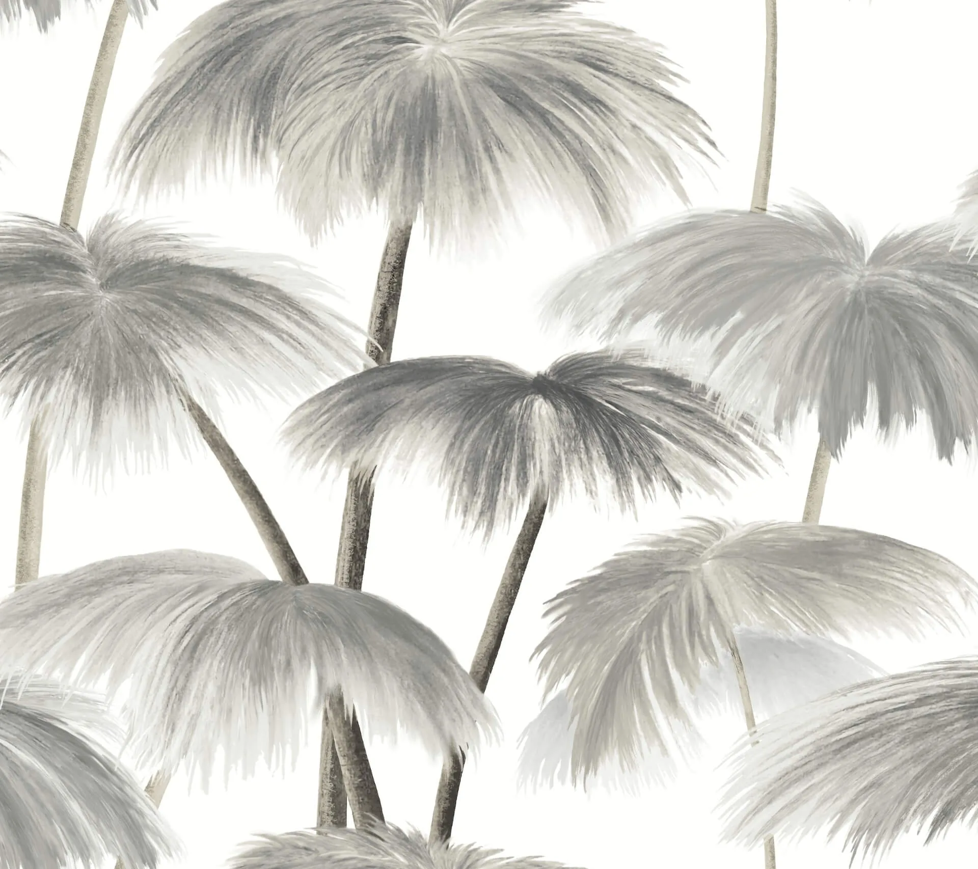 Lemieux et Cie Plein Air Palms wallpaper, color Black & White, SKU LM5432