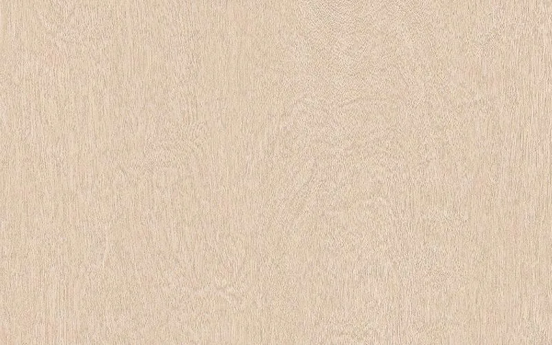 LX Hausys Benif BW010 Big Wood architectural film swatch