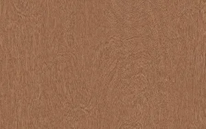 LX Hausys Benif BW011 Big Wood architectural film swatch