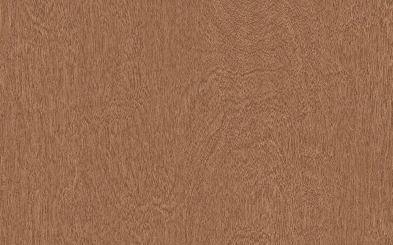 LX Hausys Benif BW011 Big Wood architectural film swatch
