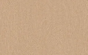 LX Hausys Benif BW013 Big Wood architectural film swatch