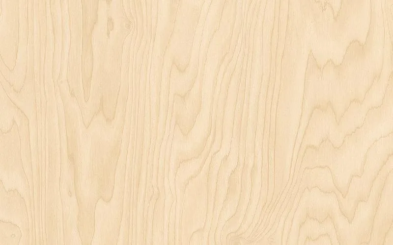 LX Hausys Benif CW537 Wood architectural film swatch