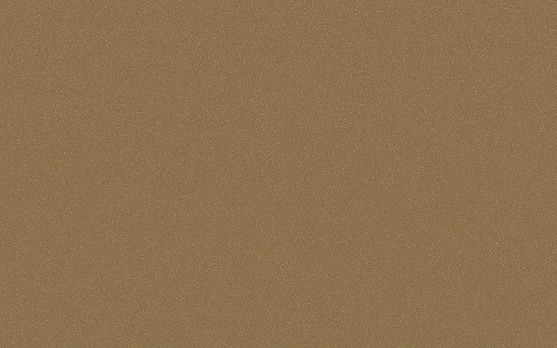 LX Hausys Benif RPE48 Metal architectural film swatch