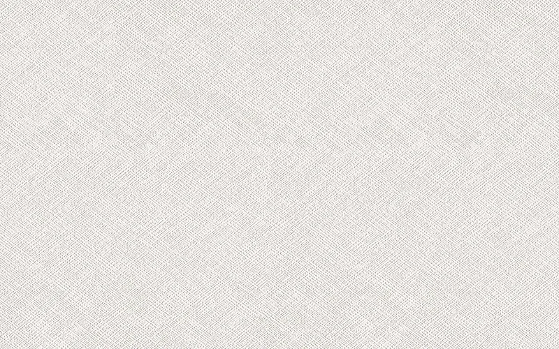 LX Hausys Benif RS101 Emboss architectural film swatch