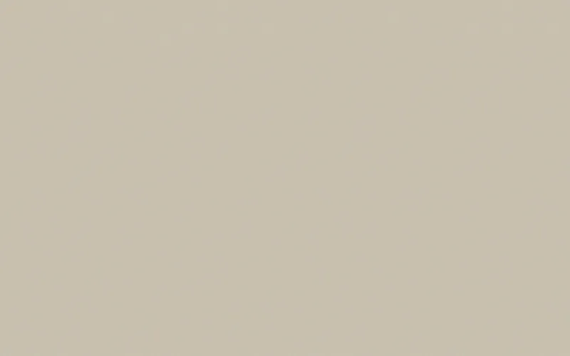 LX Hausys Benif RS185 Solid architectural film swatch