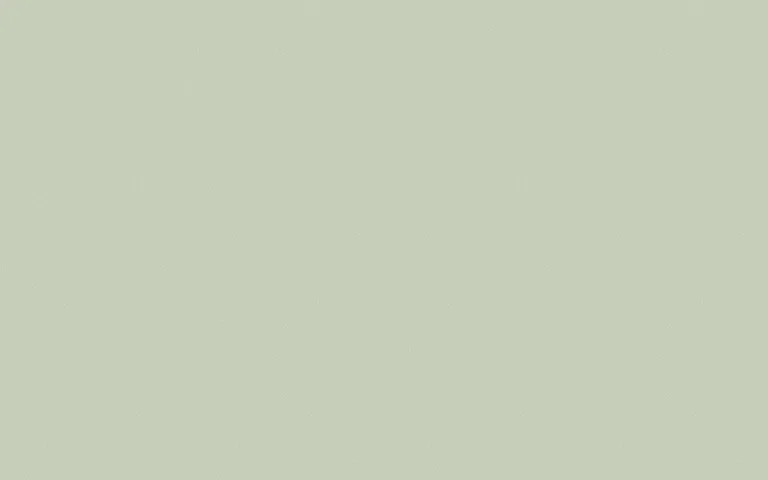 LX Hausys Benif RS189 Solid architectural film swatch