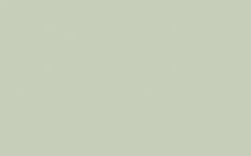 LX Hausys Benif RS189 Solid architectural film swatch