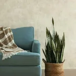 Magnolia Home Plaster Finish wallpaper, color Grey, SKU ME1547