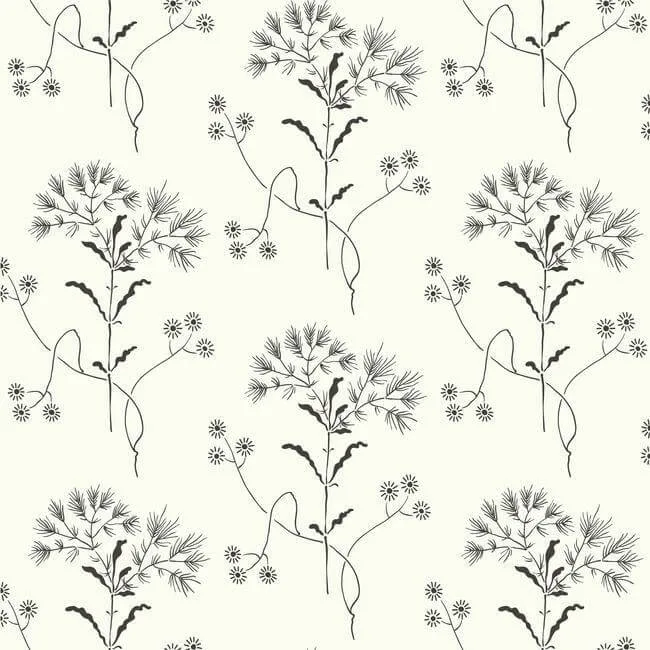 Magnolia Home Wildflower wallpaper, color Black & White, SKU ME1515