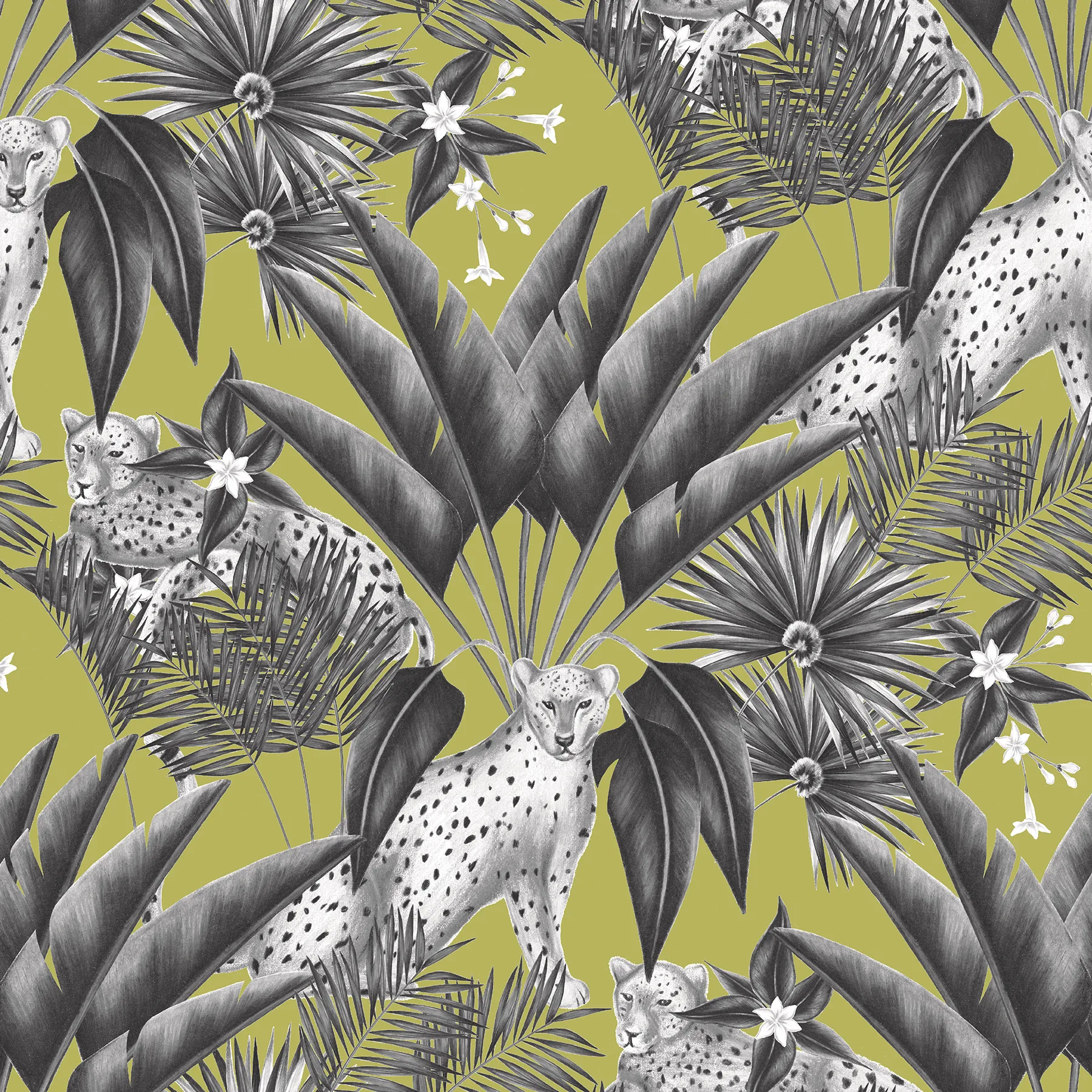 ohpopsi Augustus wallpaper, color Grey, SKU WLD53105W