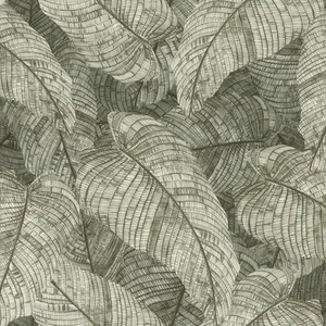 Rasch Galner wallpaper, color Moss, SKU RH720549