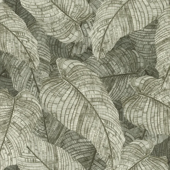 Rasch Galner wallpaper, color Moss, SKU RH720549