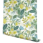 Rifle Paper Co. Amalfi - Blue & Green Wallpaper | Buy Online Rifle Paper Co. Amalfi wallpaper, color Blue & Green, SKU PSW1318RL