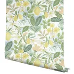 Rifle Paper Co. Amalfi wallpaper, color Pink & Green, SKU PSW1319RL
