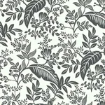 Rifle Paper Co. Canopy - Black & White Wallpaper | Buy Online Rifle Paper Co. Canopy wallpaper, color Black & White, SKU RI5136