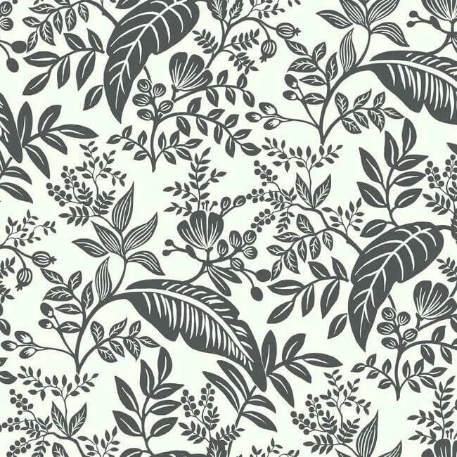 Rifle Paper Co. Canopy wallpaper, color Black & White, SKU RI5136