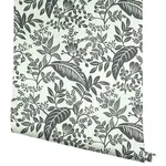 Rifle Paper Co. Canopy - Black & White Wallpaper | Buy Online Rifle Paper Co. Canopy wallpaper, color Black & White, SKU RI5136