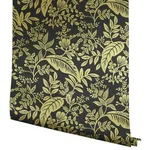 Rifle Paper Co. Canopy - Gold & Black Wallpaper | Buy Online Rifle Paper Co. Canopy wallpaper, color Gold & Black, SKU RI5139