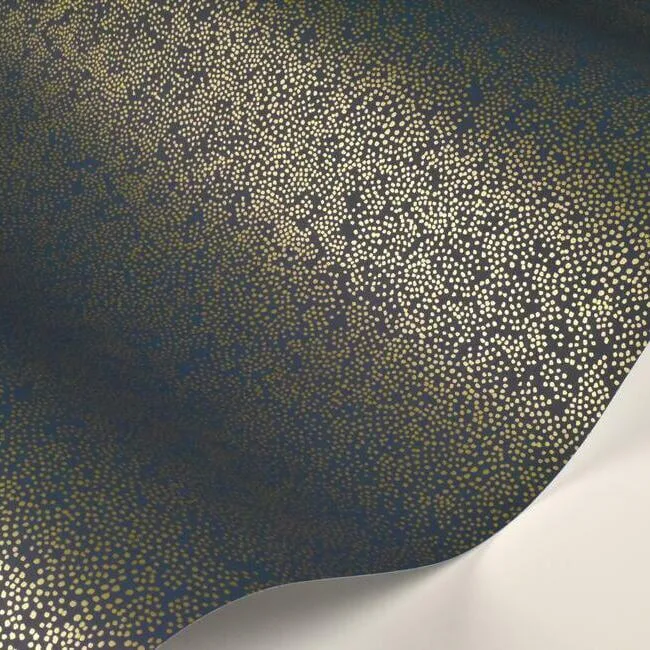 Rifle Paper Co. Champagne Dots - Gold & Navy Wallpaper | Buy Online Rifle Paper Co. Champagne Dots wallpaper, color Gold & Navy, SKU RI5113