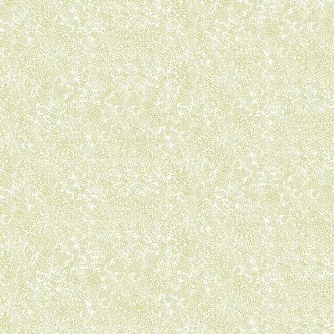 Rifle Paper Co. Champagne Dots wallpaper, color Gold & White, SKU RI5112