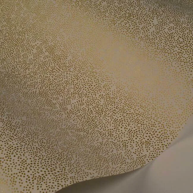 Rifle Paper Co. Champagne Dots - Gold & White Wallpaper | Buy Online Rifle Paper Co. Champagne Dots wallpaper, color Gold & White, SKU RI5112
