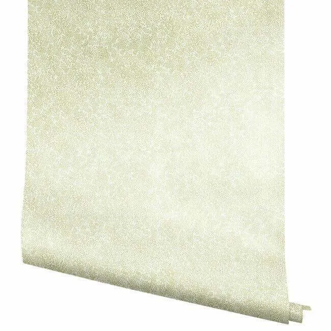 Rifle Paper Co. Champagne Dots - Gold & White Wallpaper | Buy Online Rifle Paper Co. Champagne Dots wallpaper, color Gold & White, SKU RI5112
