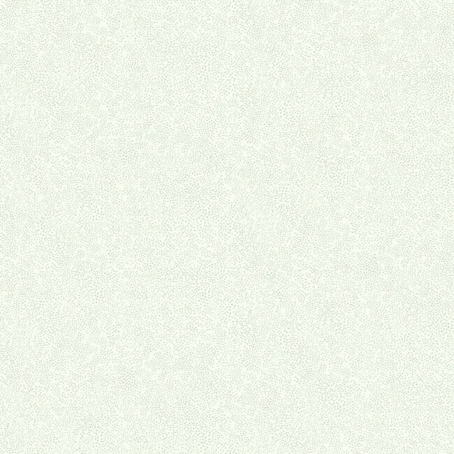 Rifle Paper Co. Champagne Dots wallpaper, color Linen Metallic, SKU RI5115