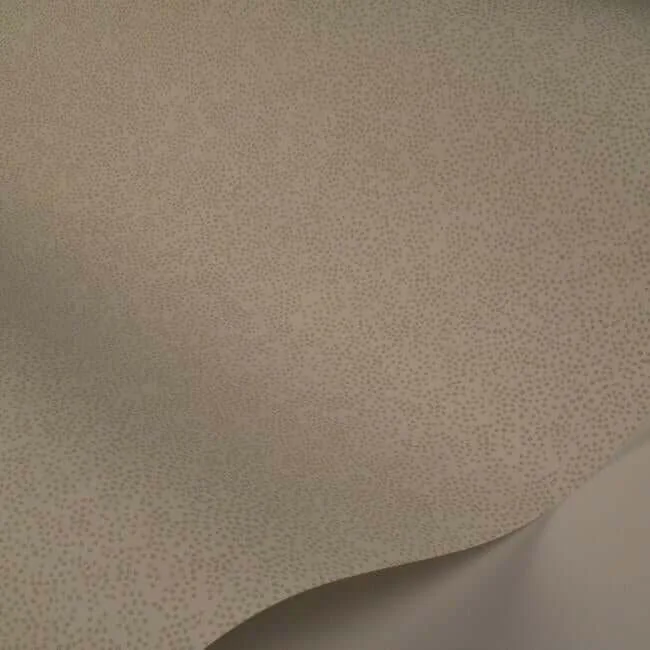Rifle Paper Co. Champagne Dots wallpaper, color Linen Metallic, SKU RI5115