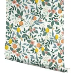 Rifle Paper Co. Citrus Grove - White Wallpaper | Buy Online Rifle Paper Co. Citrus Grove wallpaper, color White, SKU PSW1479RL