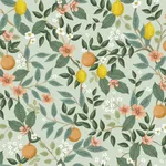 Rifle Paper Co. Citrus Grove - Mint Wallpaper | Buy Online Rifle Paper Co. Citrus Grove wallpaper, color Mint, SKU PSW1480RL