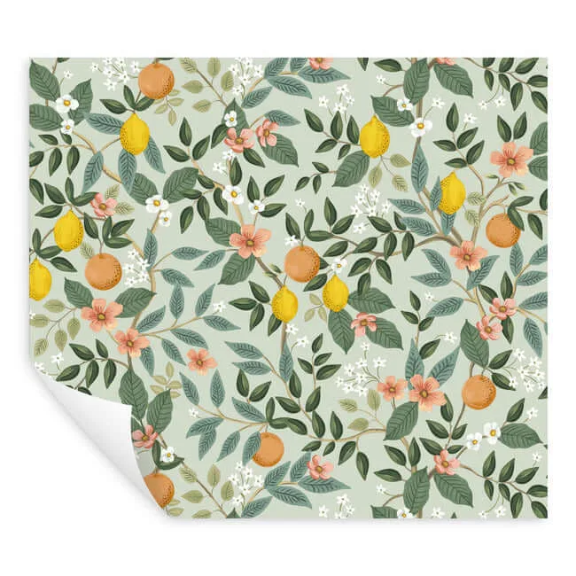 Rifle Paper Co. Citrus Grove - Mint Wallpaper | Buy Online Rifle Paper Co. Citrus Grove wallpaper, color Mint, SKU PSW1480RL