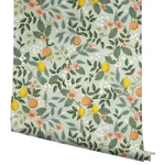 Rifle Paper Co. Citrus Grove - Mint Wallpaper | Buy Online Rifle Paper Co. Citrus Grove wallpaper, color Mint, SKU PSW1480RL