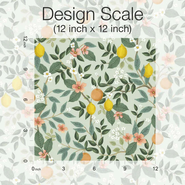 Rifle Paper Co. Citrus Grove - Mint Wallpaper | Buy Online Rifle Paper Co. Citrus Grove wallpaper, color Mint, SKU PSW1480RL