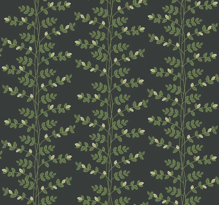 Rifle Paper Co. Climbing Vine wallpaper, color Black, SKU RF7422