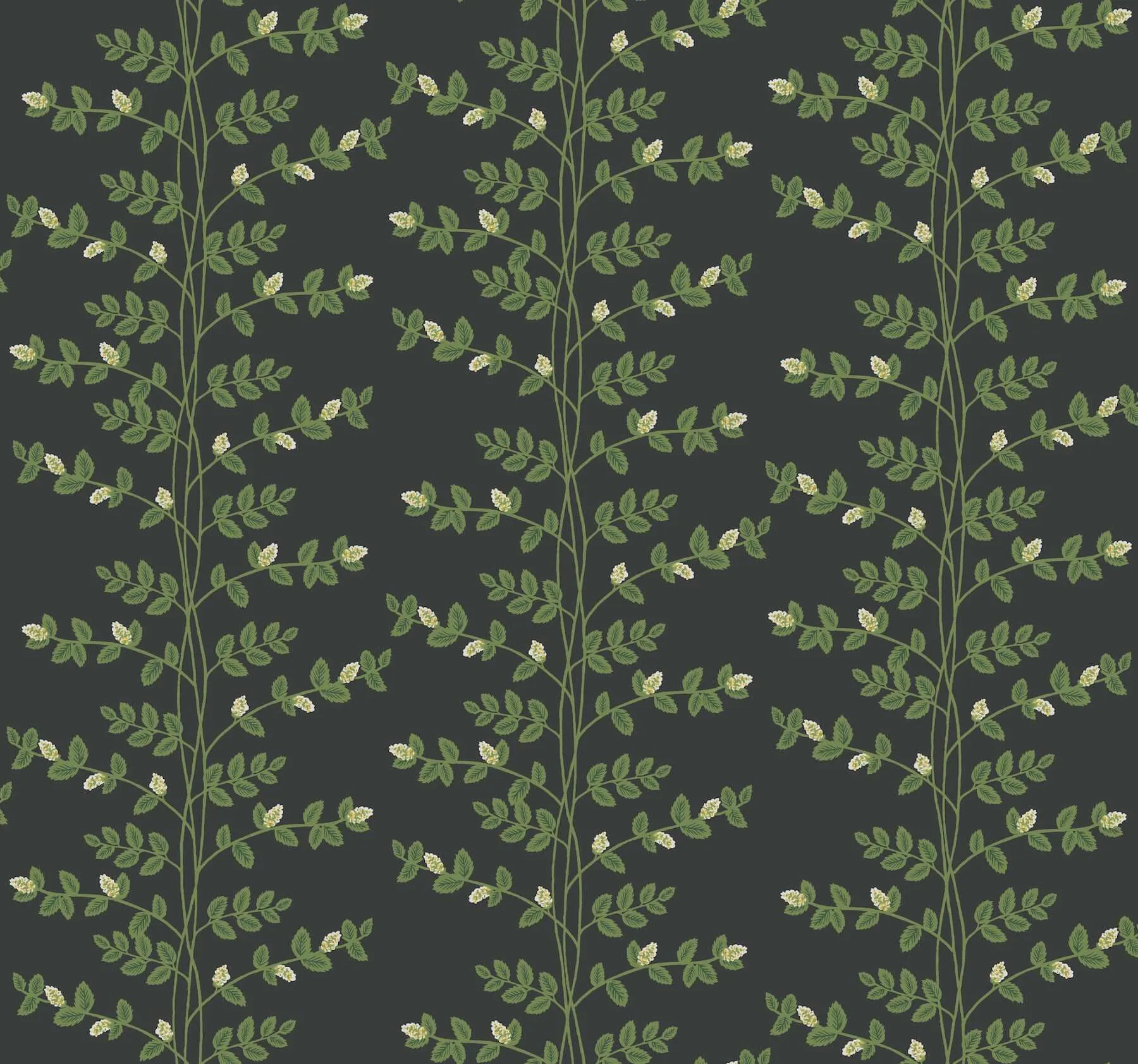 Rifle Paper Co. Climbing Vine wallpaper, color Black, SKU RF7422