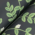 Rifle Paper Co. Climbing Vine wallpaper, color Black, SKU RF7422