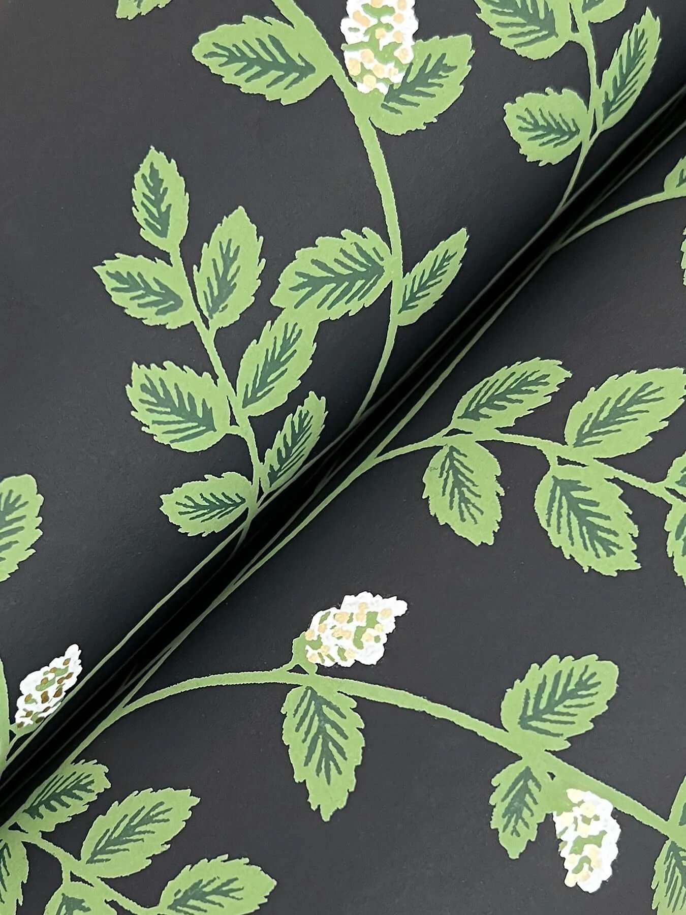 Rifle Paper Co. Climbing Vine wallpaper, color Black, SKU RF7422