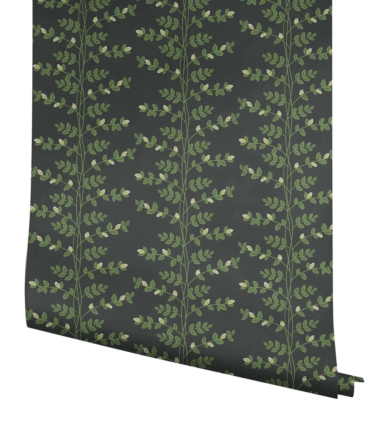 Rifle Paper Co. Climbing Vine wallpaper, color Black, SKU RF7422