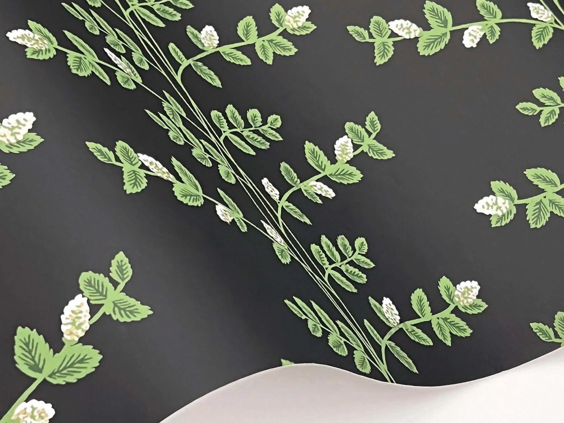 Rifle Paper Co. Climbing Vine wallpaper, color Black, SKU RF7422