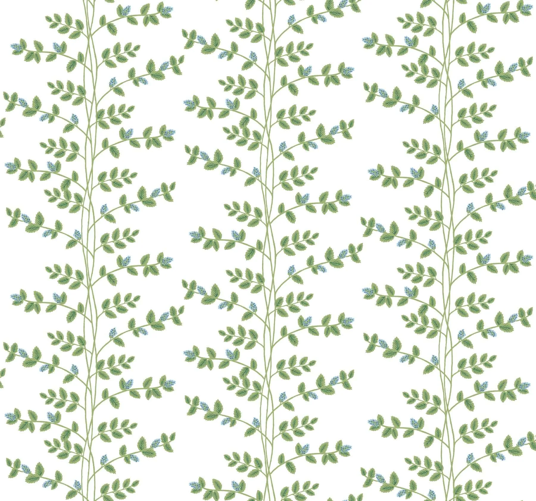Rifle Paper Co. Climbing Vine wallpaper, color Blue, SKU RF7425