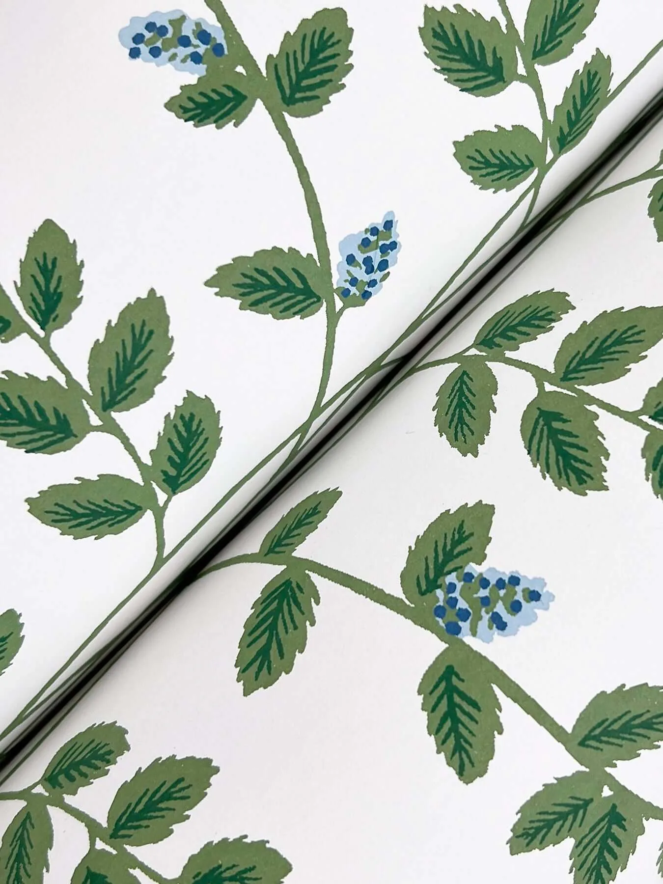 Rifle Paper Co. Climbing Vine - Blue Wallpaper | Buy Online Rifle Paper Co. Climbing Vine wallpaper, color Blue, SKU RF7425