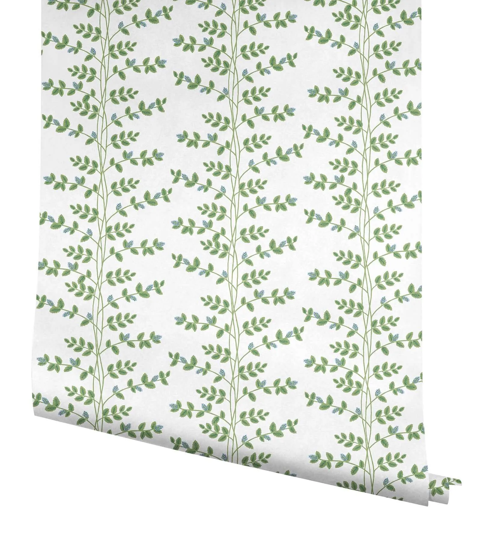 Rifle Paper Co. Climbing Vine - Blue Wallpaper | Buy Online Rifle Paper Co. Climbing Vine wallpaper, color Blue, SKU RF7425