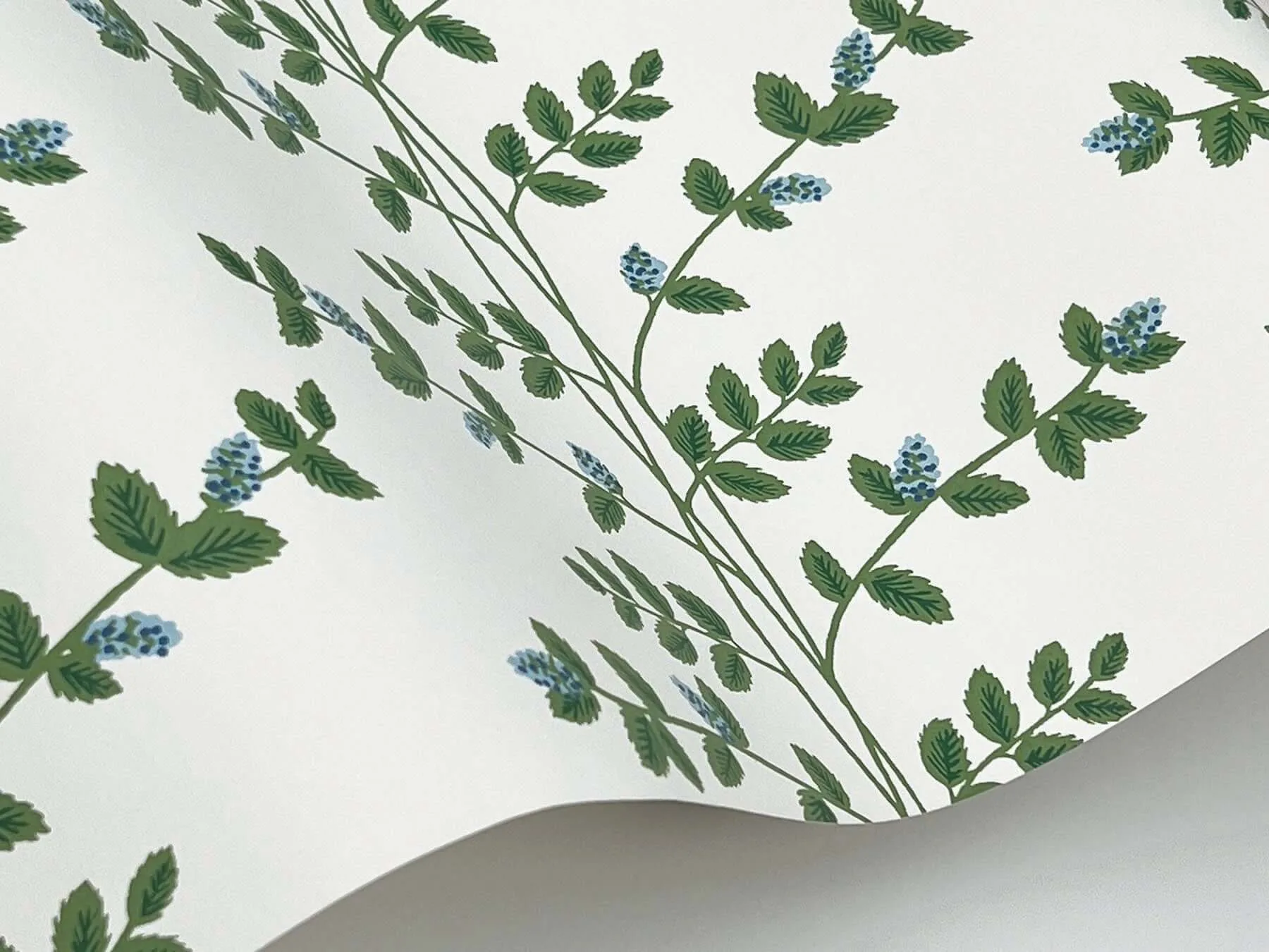 Rifle Paper Co. Climbing Vine - Blue Wallpaper | Buy Online Rifle Paper Co. Climbing Vine wallpaper, color Blue, SKU RF7425