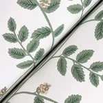Rifle Paper Co. Climbing Vine wallpaper, color Gold, SKU RF7424