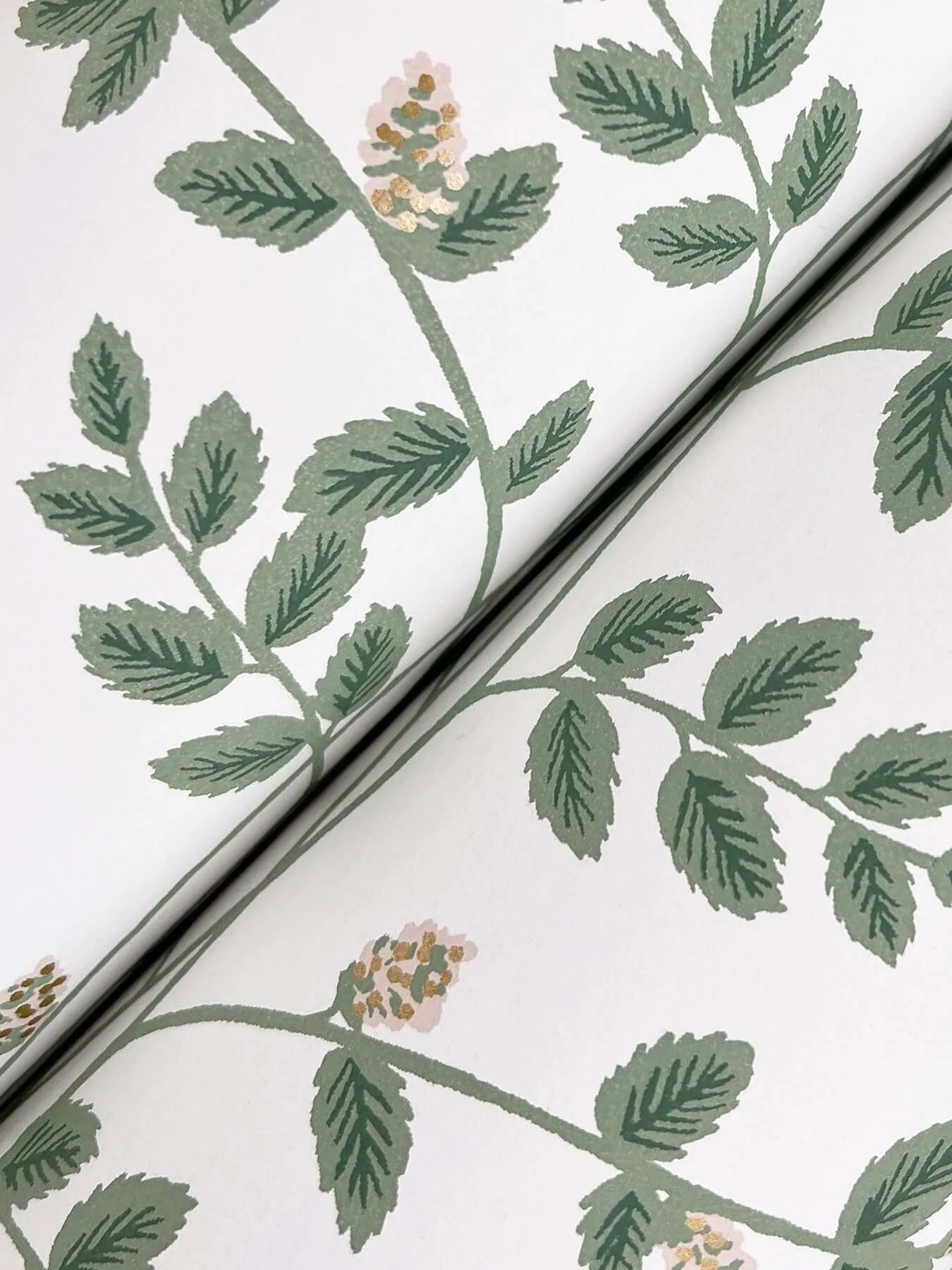 Rifle Paper Co. Climbing Vine wallpaper, color Gold, SKU RF7424