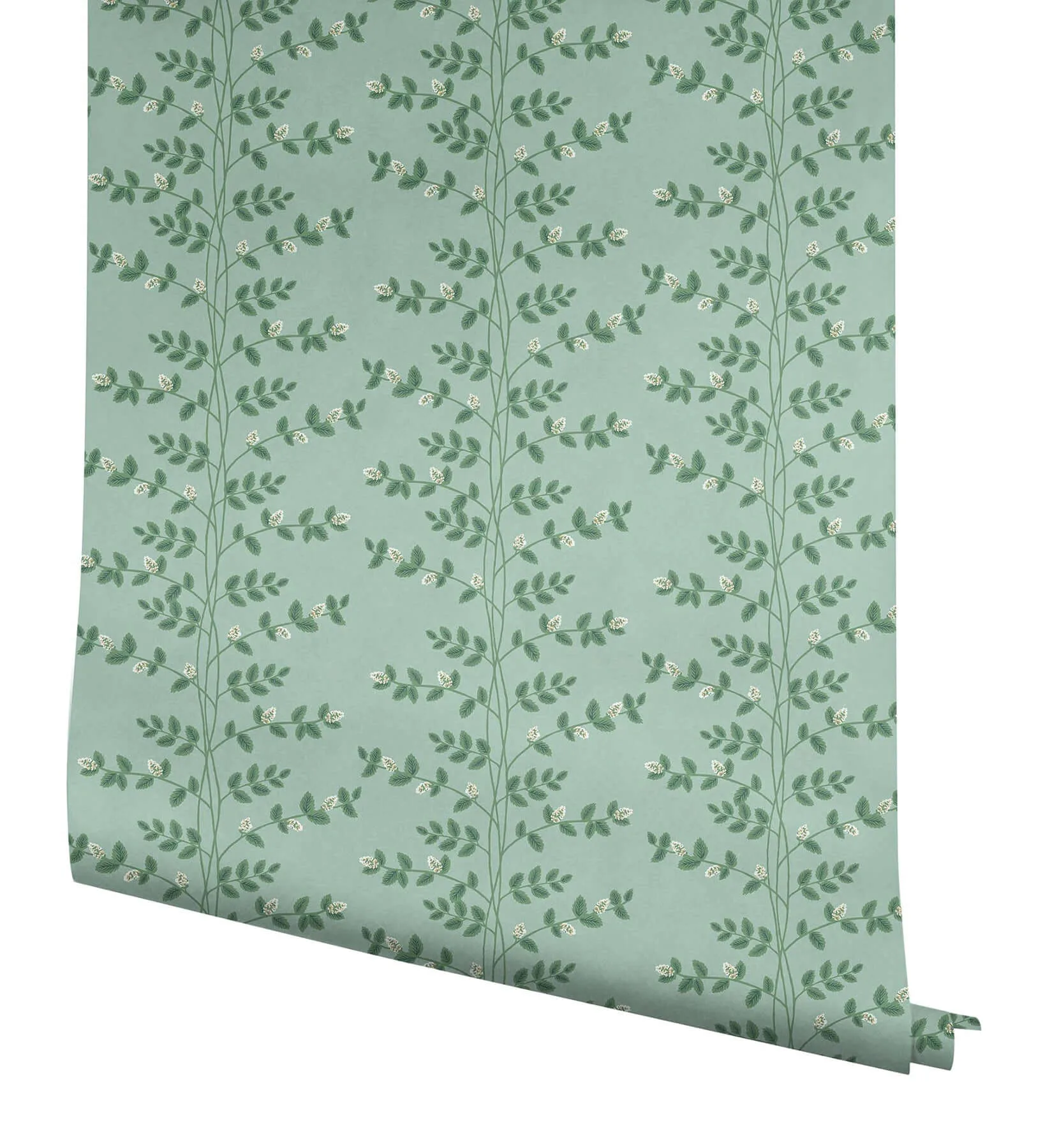 Rifle Paper Co. Climbing Vine wallpaper, color Soft Teal, SKU RF7421
