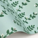 Rifle Paper Co. Climbing Vine wallpaper, color Soft Teal, SKU RF7421
