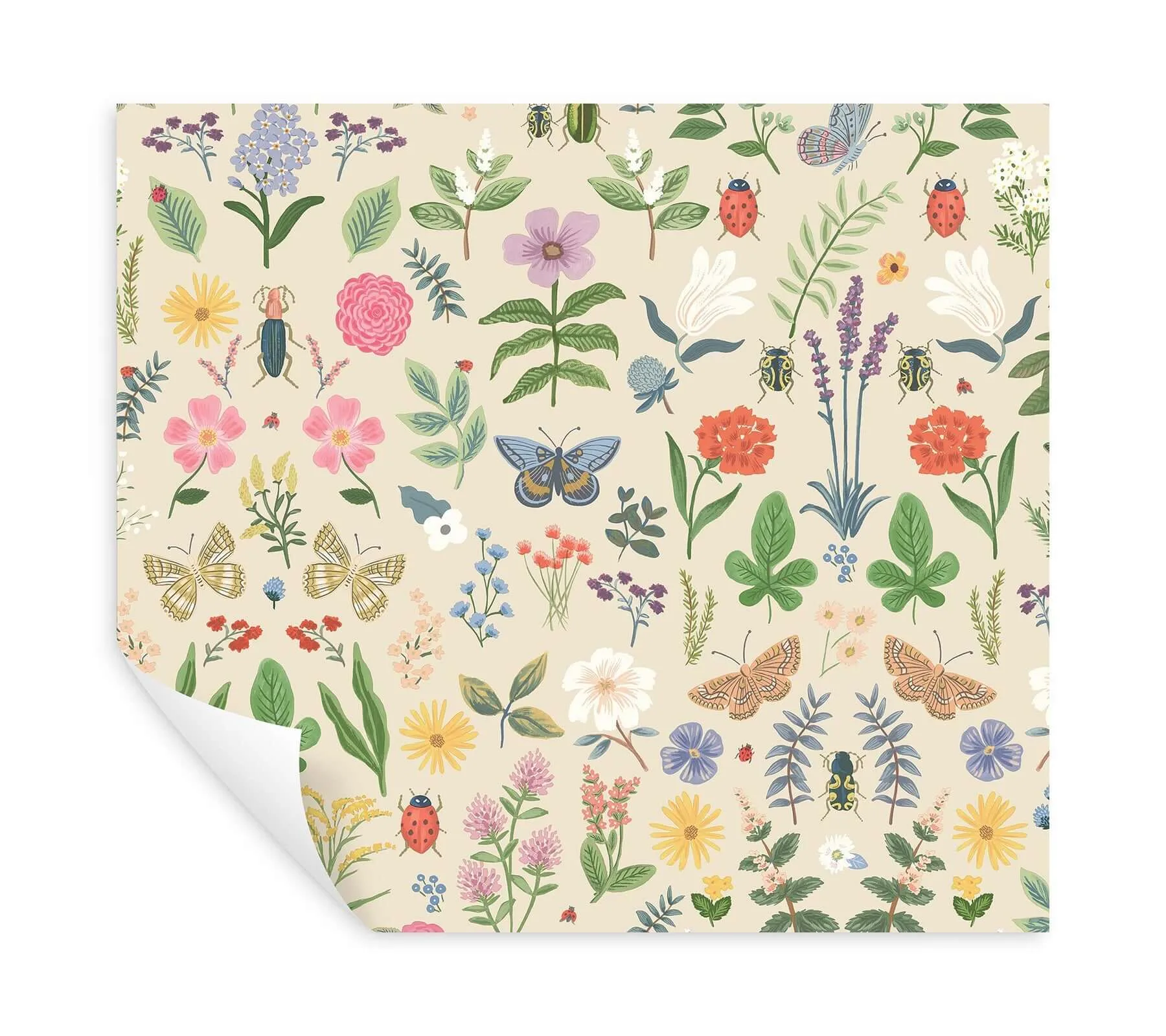 Rifle Paper Co. Curio - Cream Wallpaper | Buy Online Rifle Paper Co. Curio wallpaper, color Cream, SKU PSW1542RL