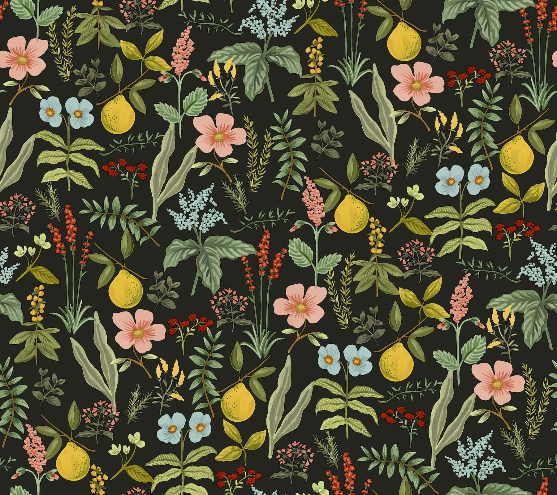 Rifle Paper Co. Herb Garden wallpaper, color Black, SKU PSW1676RL