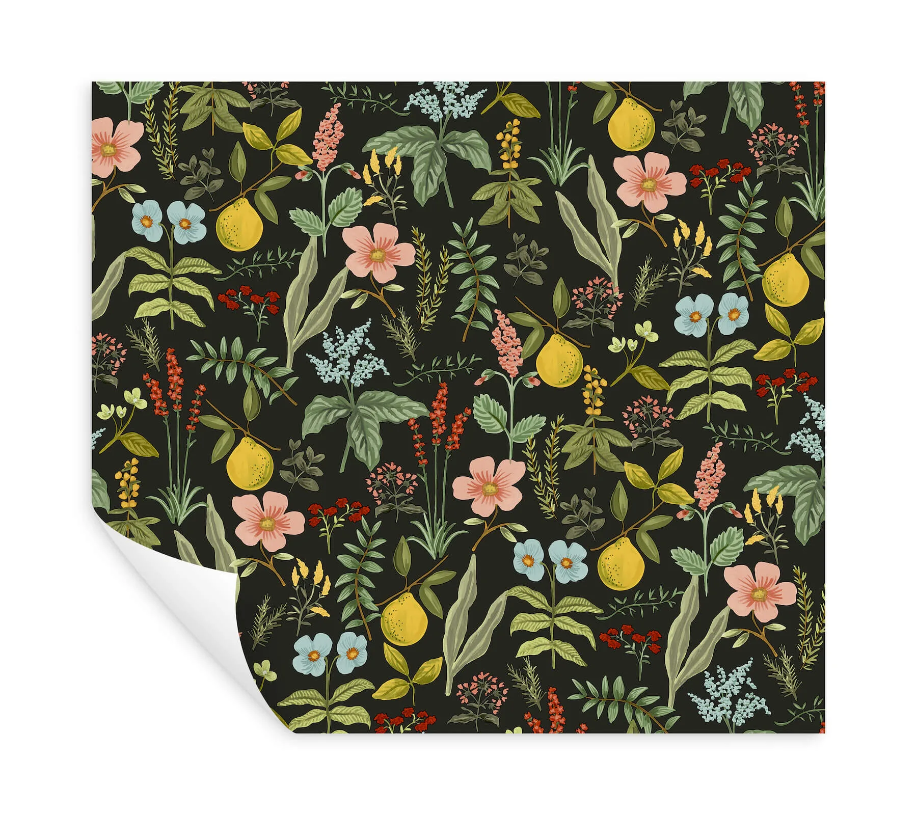 Rifle Paper Co. Herb Garden - Black Wallpaper | Buy Online Rifle Paper Co. Herb Garden wallpaper, color Black, SKU PSW1676RL